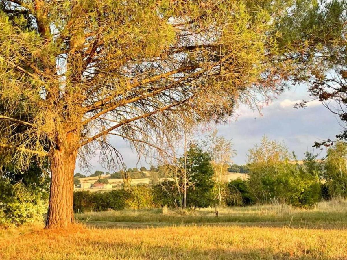 Le Parc De Gouts Villa Aiguillon Luaran gambar