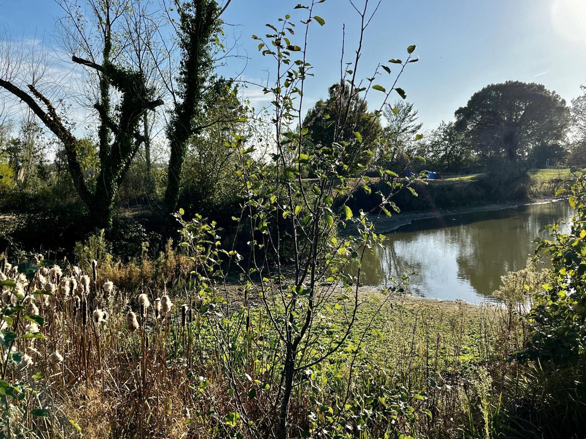 Le Parc De Gouts Villa Aiguillon Luaran gambar