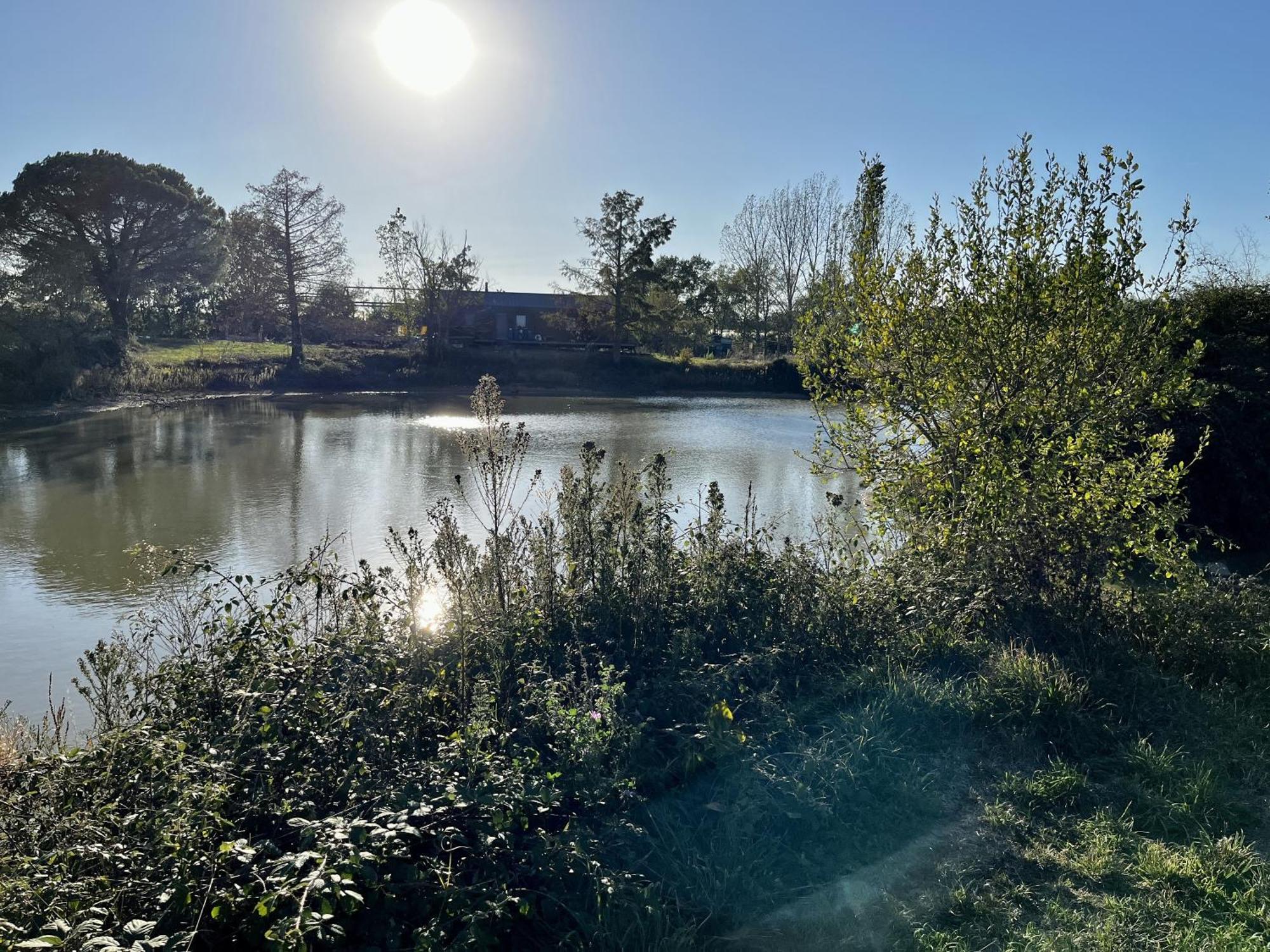 Le Parc De Gouts Villa Aiguillon Luaran gambar